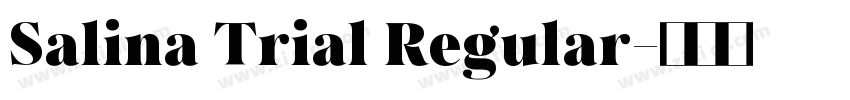 Salina Trial Regular字体转换